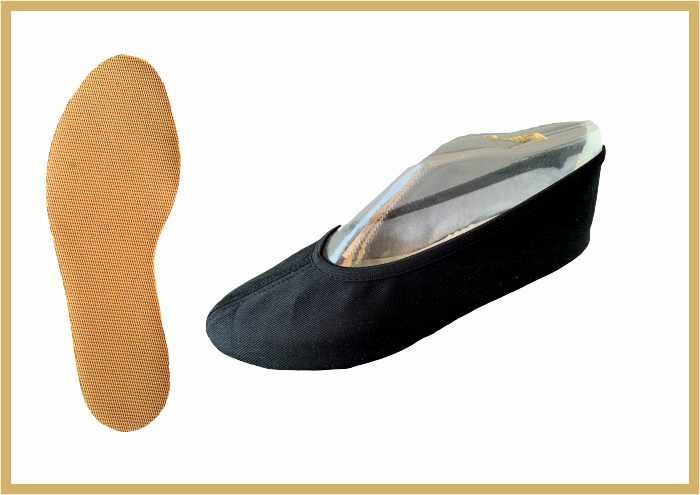 IWA 164 Standard Schuhe Turnen Gymnastik