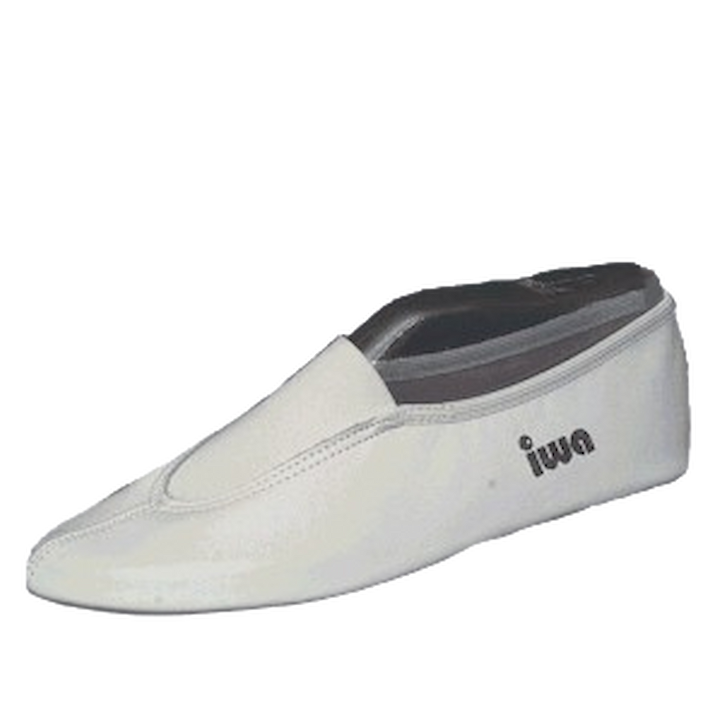 IWA 210 Voltigierschuhe
